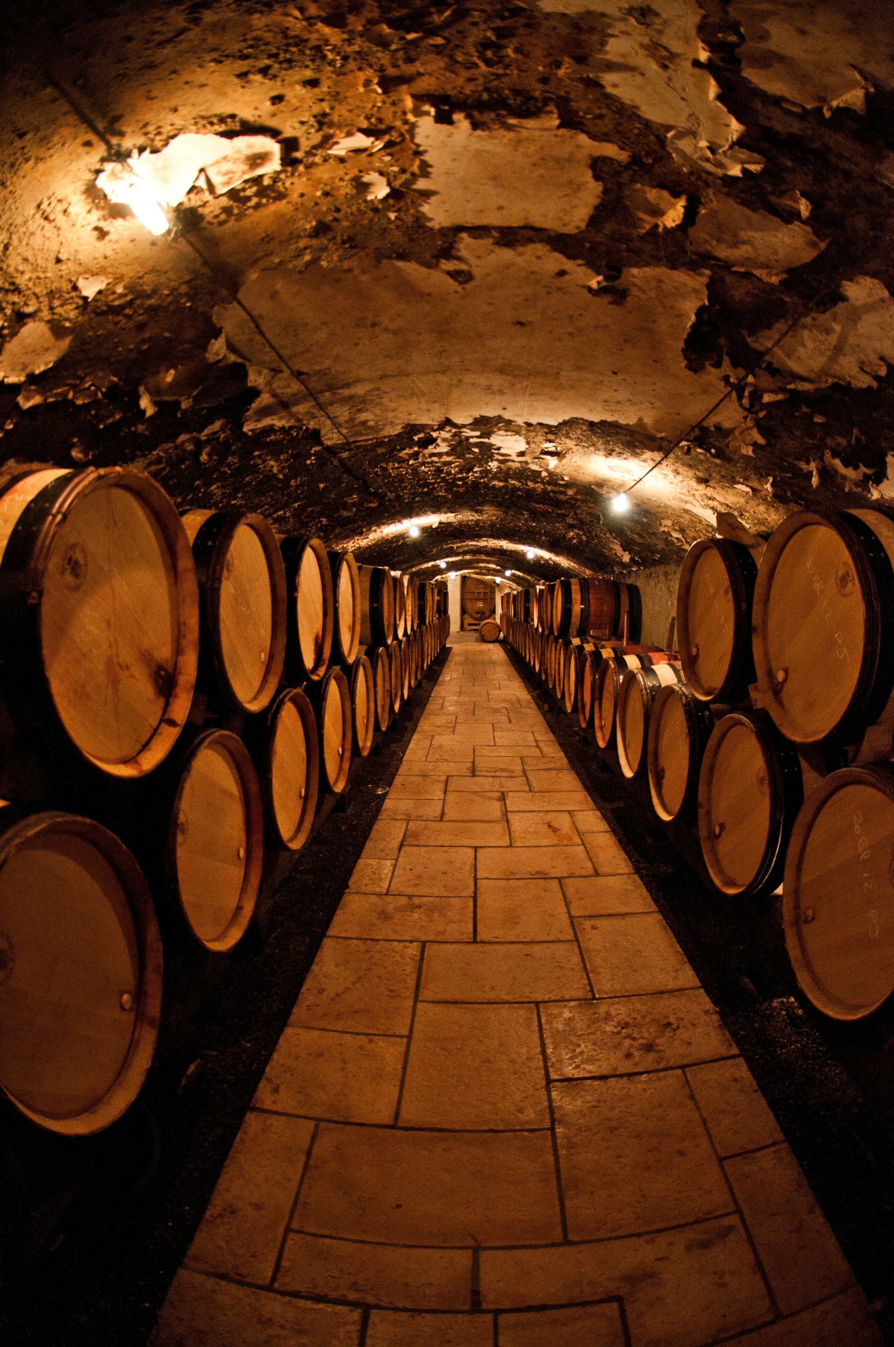 Terroir