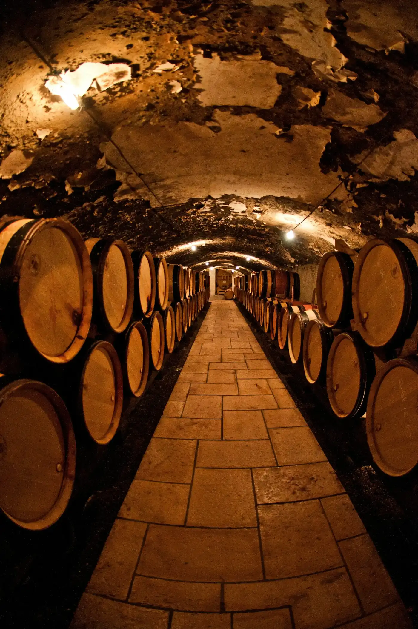 Terroir